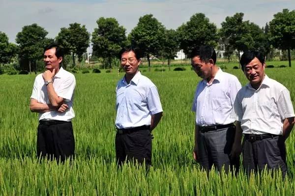曹卫星（左二）任江苏省副省长时考察苏州市水稻技术