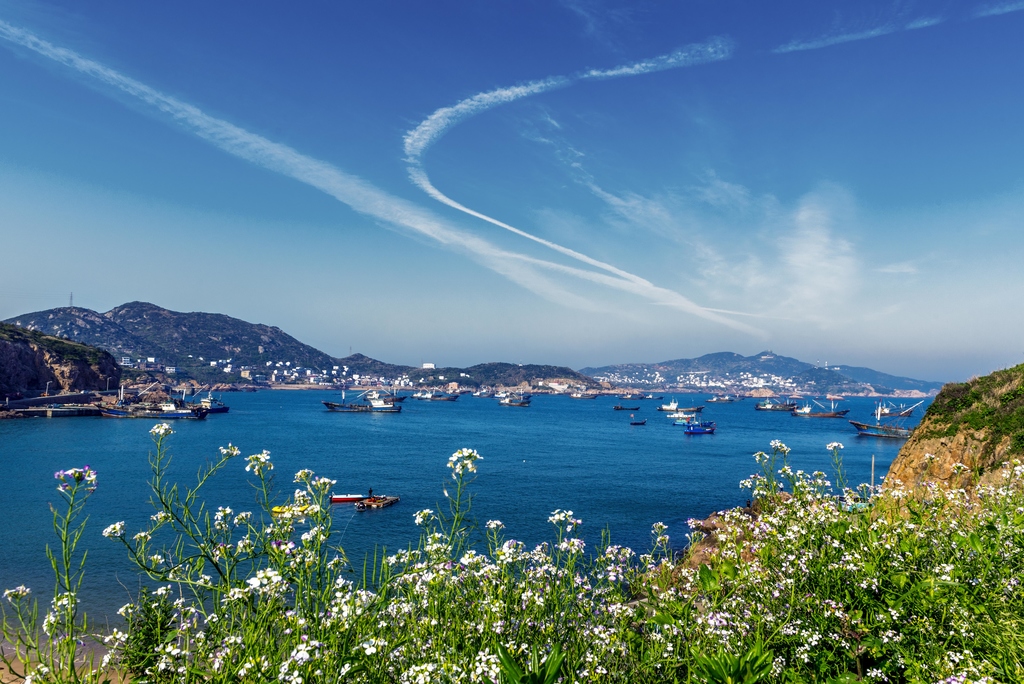 五一枸杞島之面朝大海春暖花開