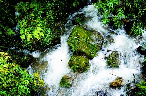 清江方山龍?jiān)伌笃俨季植烤坝^