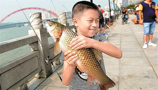 武漢一親水平臺驚現(xiàn)“魚潮” 有人1天可釣上百斤魚