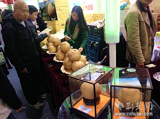 EBB79B4E-59BC-4AD3-83FA-C56333632C4C_副本.jpg