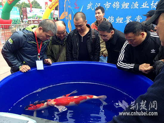 6BE38802-71B4-488D-8A0F-7B94809FA6DB_副本.jpg