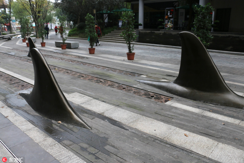 重庆马路惊现异形“鲨鱼鳍”隔离桩 造型吓懵路人2.jpg