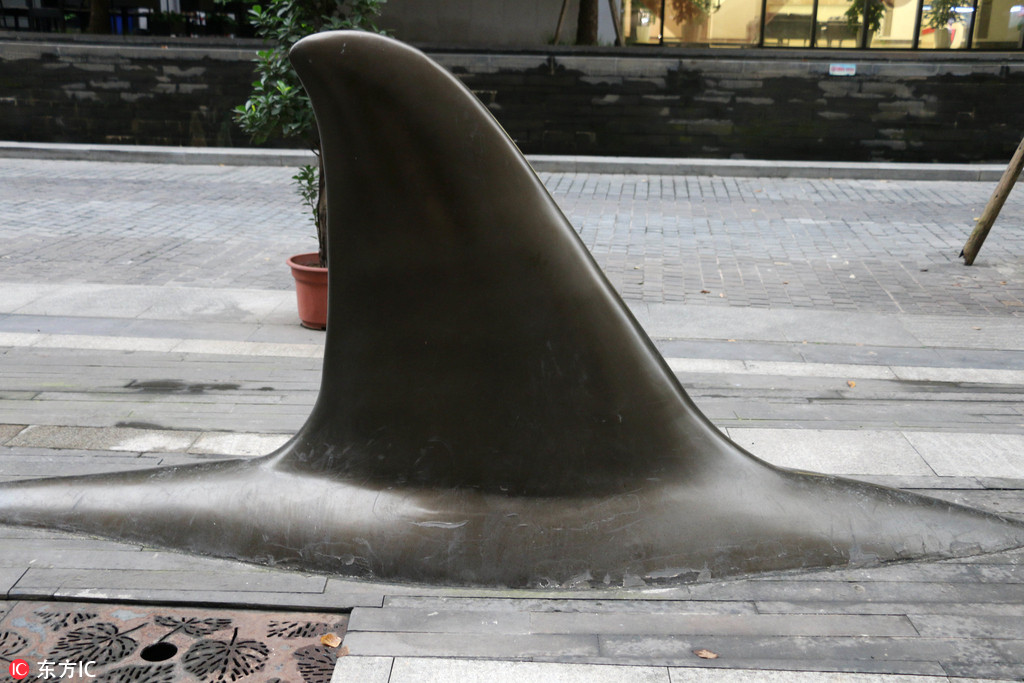 重庆马路惊现异形“鲨鱼鳍”隔离桩 造型吓懵路人3.jpg