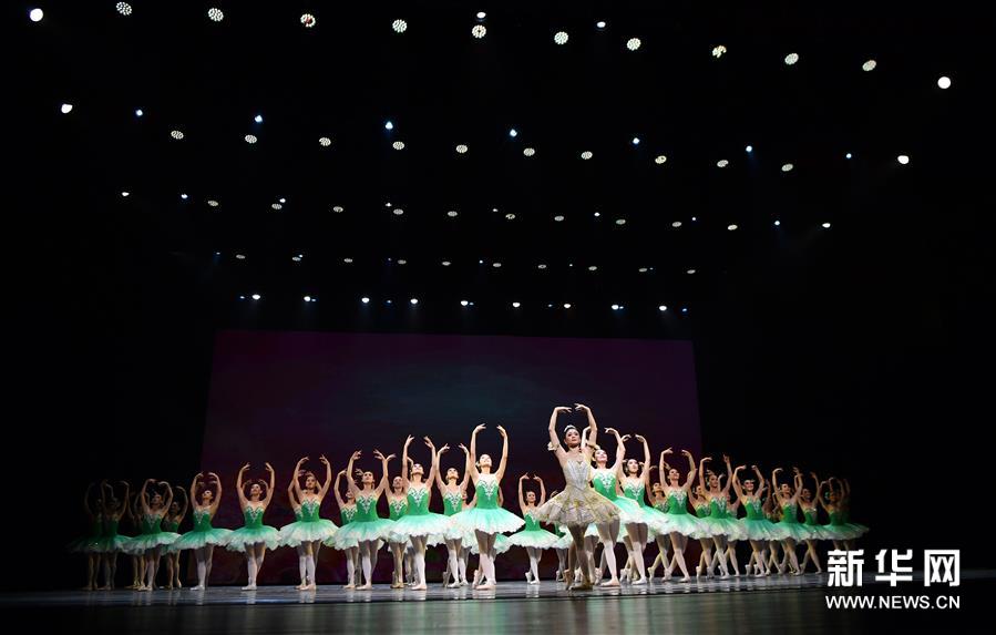 第11届中国舞蹈“荷花奖”颁奖盛典在海口举行4.jpg
