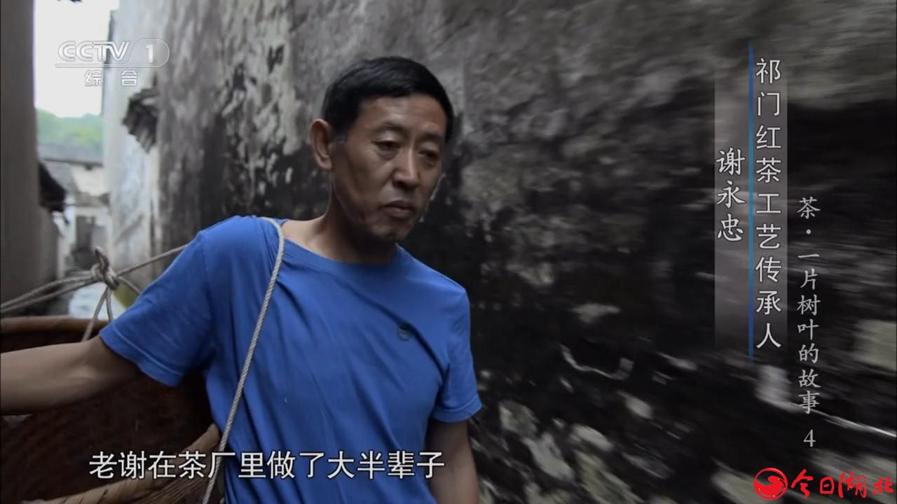茶人老谢.jpg