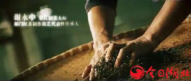 茶人老谢2.jpg