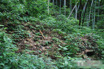 龙窖山瑶族古地名考察7.jpg
