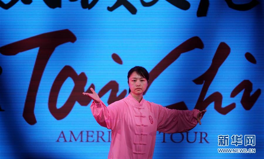 中国艺术家代表团春节慰问美洲行大型公益活动在旧金山湾区举行2.jpg