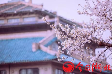 早春WU·春的气息.jpg