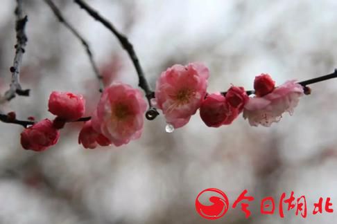 早春WU·春的气息4.jpg