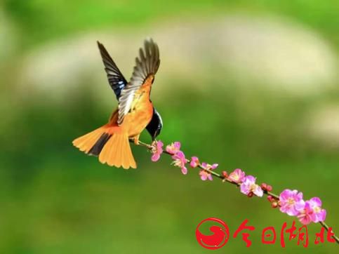 早春WU·春的气息5.jpg