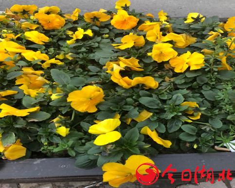 早春WU·春的气息6.jpg