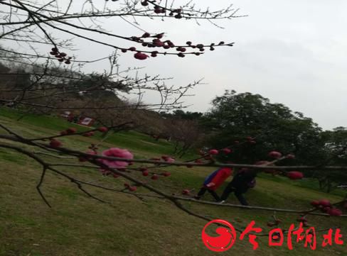 早春WU·春的气息7.jpg