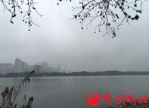 早春WU·春的气息8.jpg
