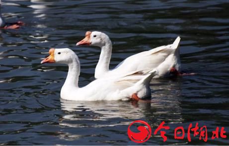 早春WU·春的气息11.jpg
