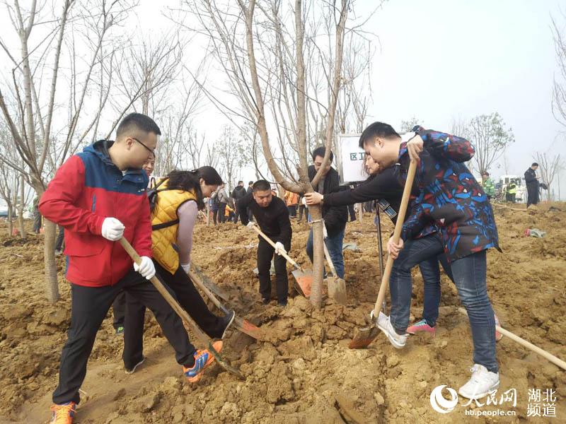 武汉义务植树迎高峰 6000余人植树过万株4.jpg