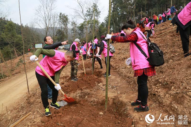 武漢義務(wù)植樹迎高峰 6000余人植樹過萬株6.JPG