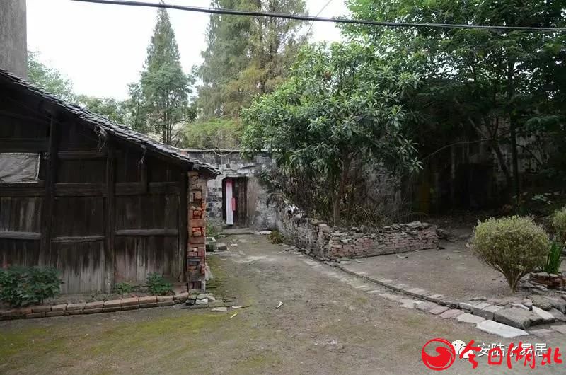 清晨踏春胡金店6.jpg