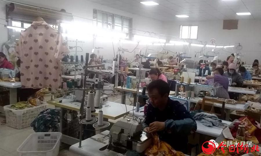清晨踏春胡金店9.jpg
