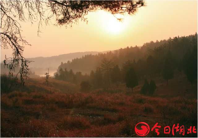 伍家山记.jpg