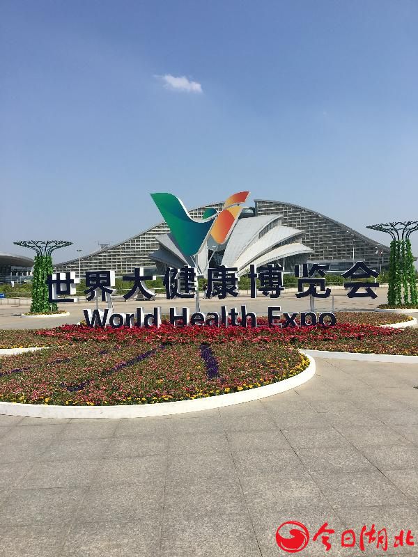 羚锐制药受邀参加首届世界大健康博览会4.jpg