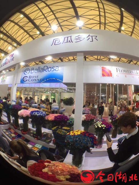 第二十一届中国国际花卉园艺展IN上海新国际博览中心圆满落幕.jpg