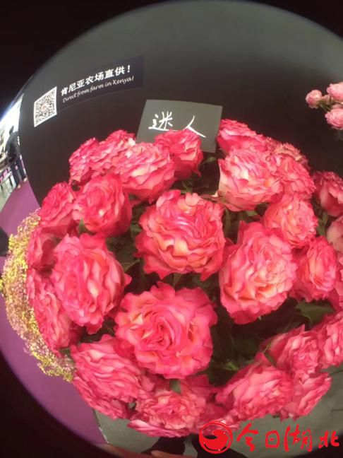 第二十一届中国国际花卉园艺展IN上海新国际博览中心圆满落幕5.jpg