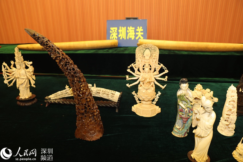 深圳海关查获走私濒危物种及制品逾千件2.jpg