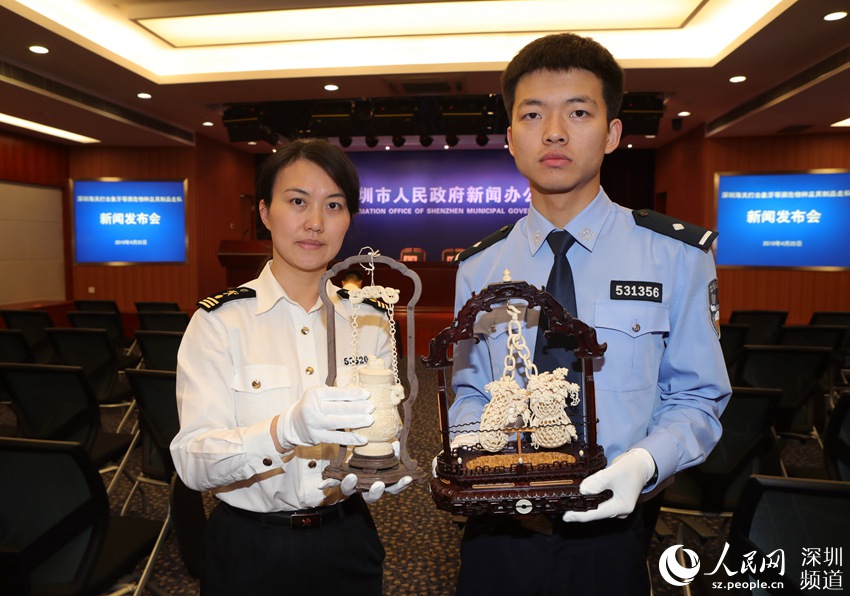深圳海关查获走私濒危物种及制品逾千件3.jpg