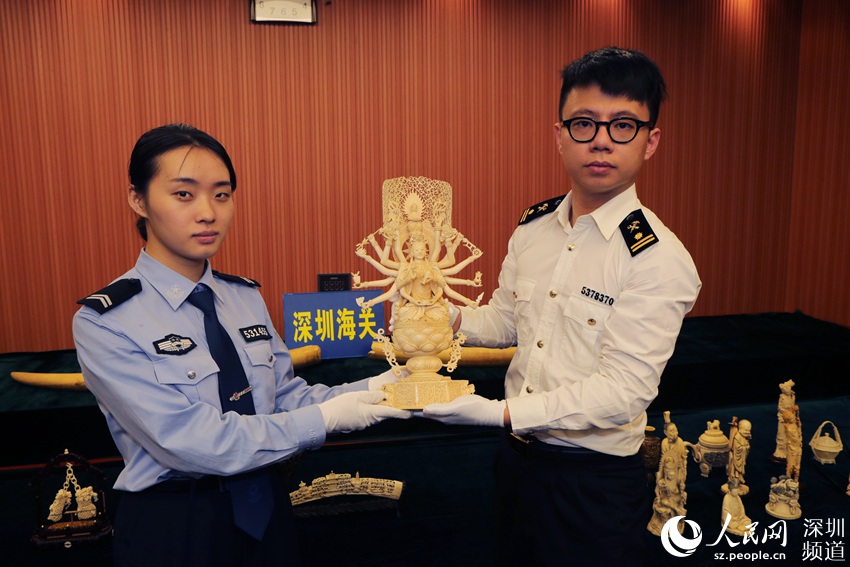 深圳海关查获走私濒危物种及制品逾千件4.jpg