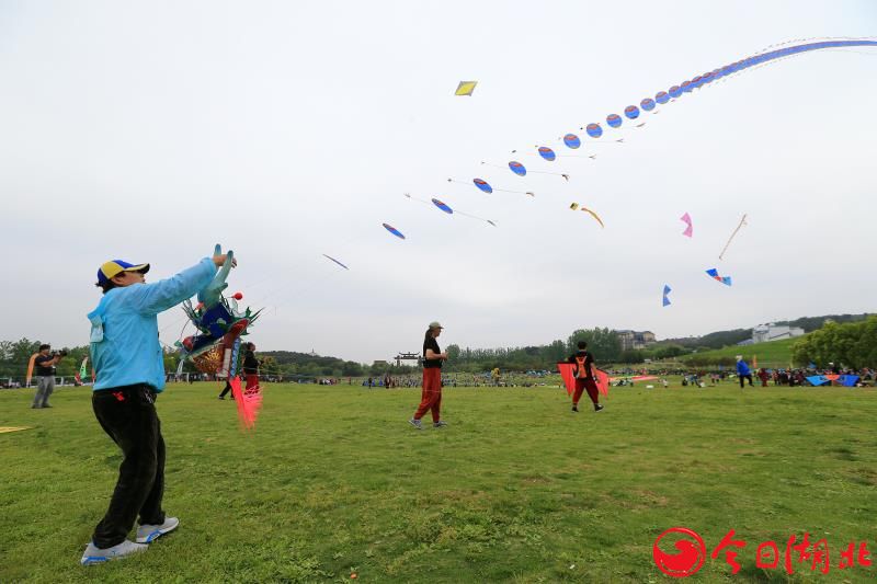 2019中国·武汉木兰草原国际风筝邀请赛盛大开幕4.jpg