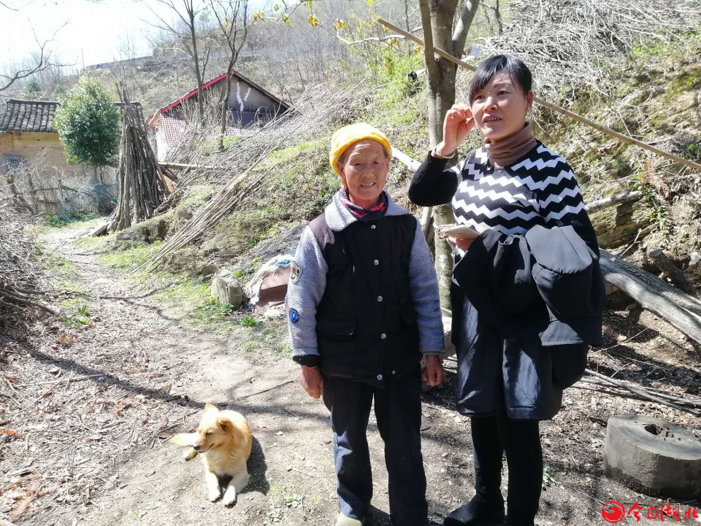 龙埫村的风水宝地.jpg