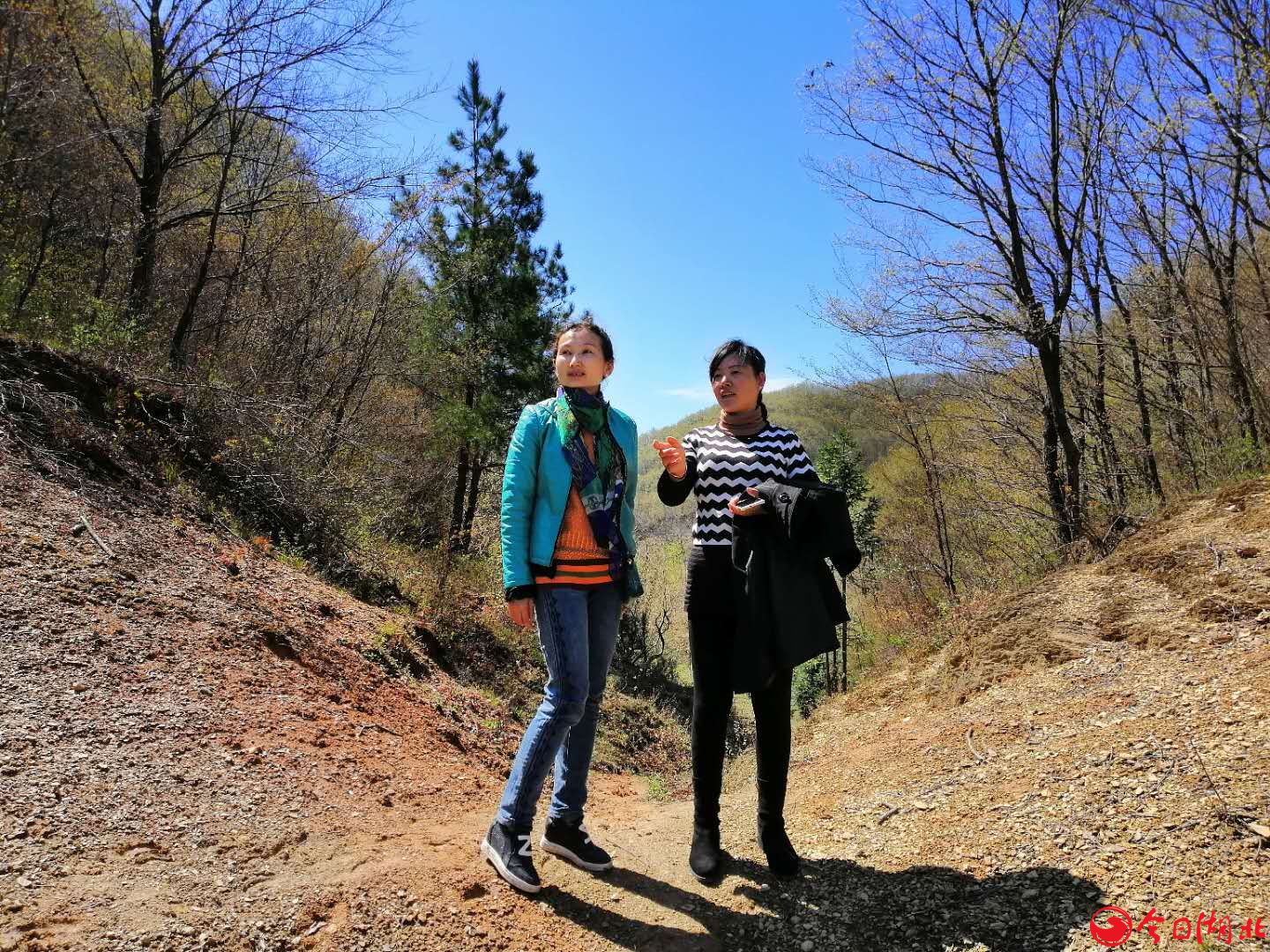 龙埫村的风水宝地4.jpg