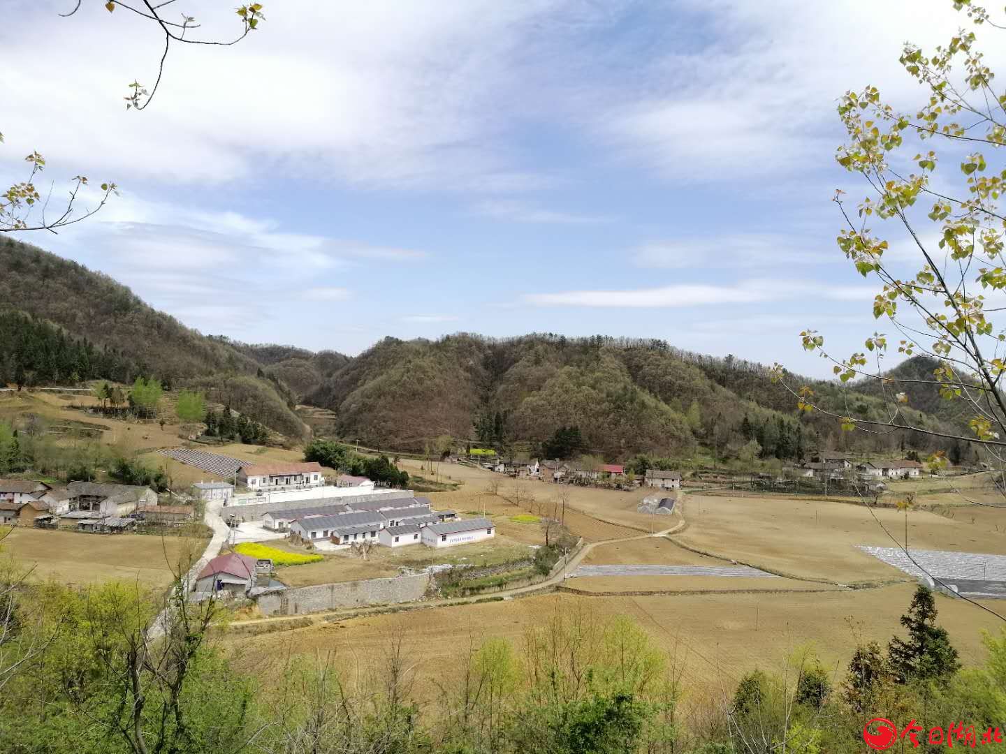 龙埫村的风水宝地5.jpg