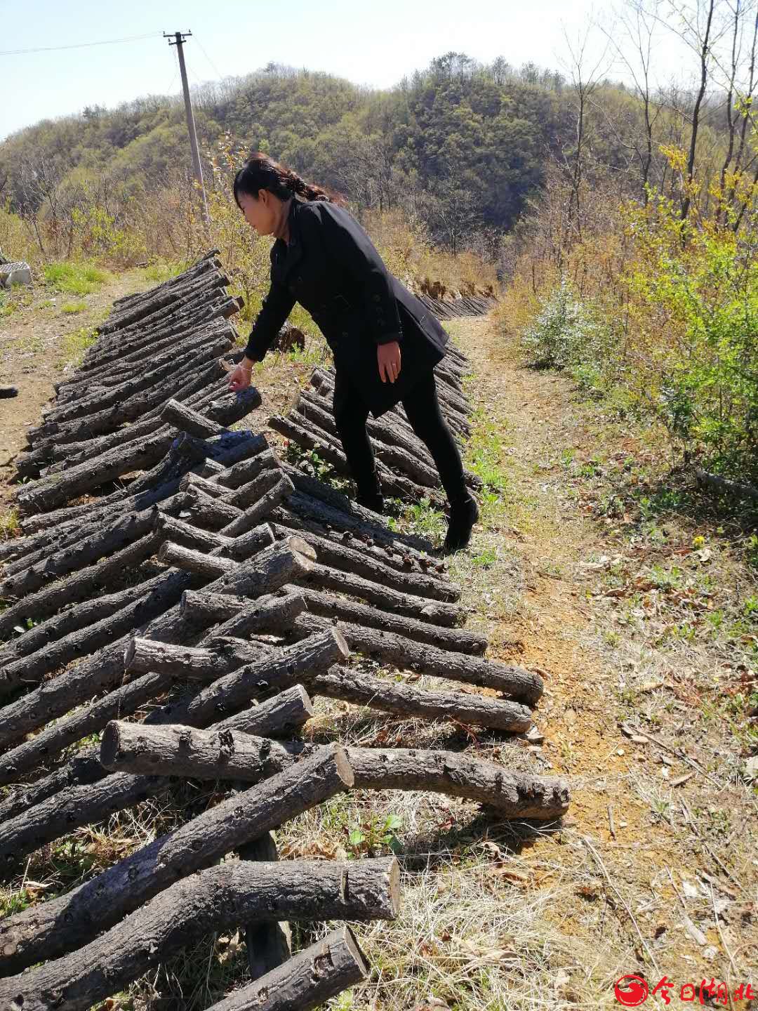 龙埫村的风水宝地6.jpg