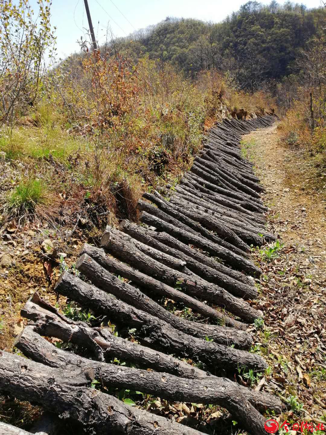 龙埫村的风水宝地7.jpg