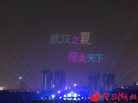 2019武汉荷节夺目绽放·汉阳琴台艺术中心光影璀璨3.jpg