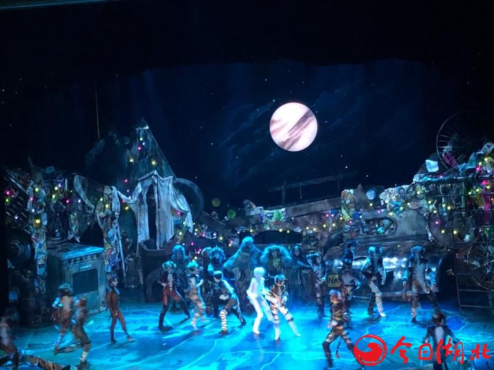 英國原版音樂劇·《CATS》完美落幕2.jpg