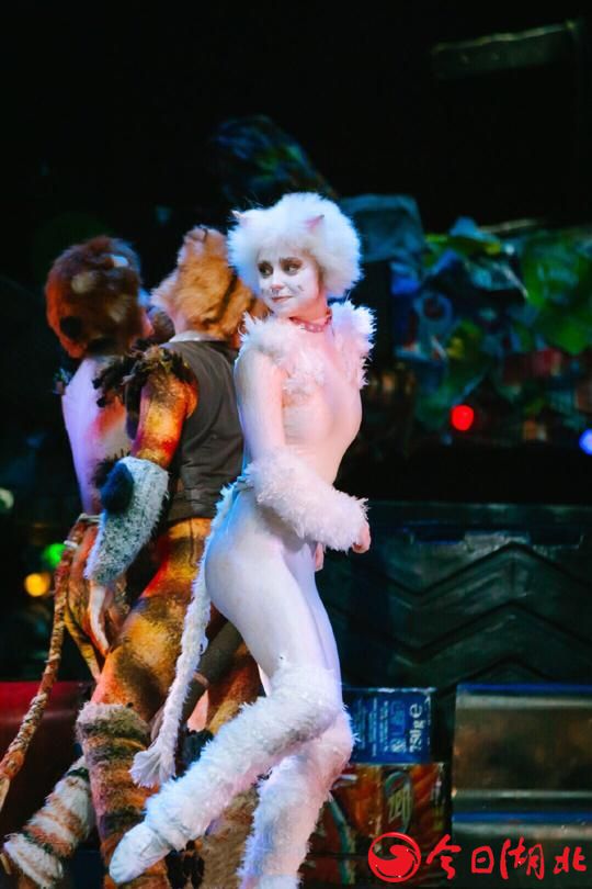 英國原版音樂劇·《CATS》完美落幕5.jpg