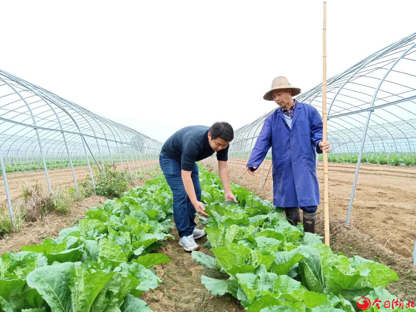 麻城市宋埠鎮抓實黨建促脫貧 全面打贏攻堅戰4.jpg