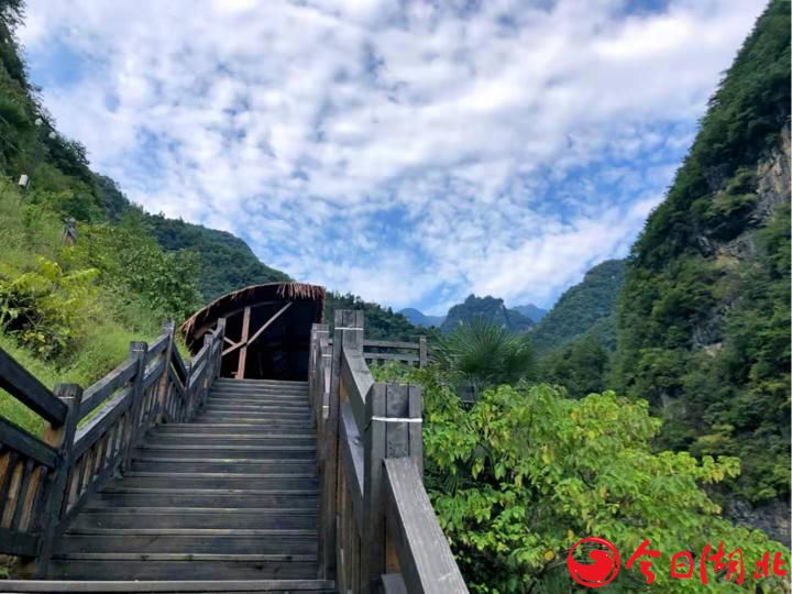 卓爾不凡入神農(nóng)·金猴獻瑞開門紅——卓爾文旅神農(nóng)架太和山獼猴樂園震撼開幕9.jpg