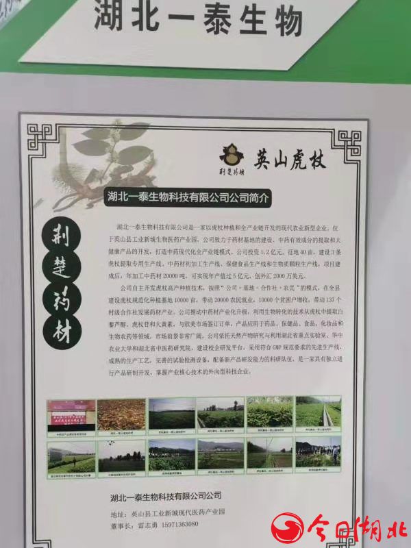 英山道地藥材精彩亮相第七屆中藥材共建共享聯(lián)盟大會3.jpg