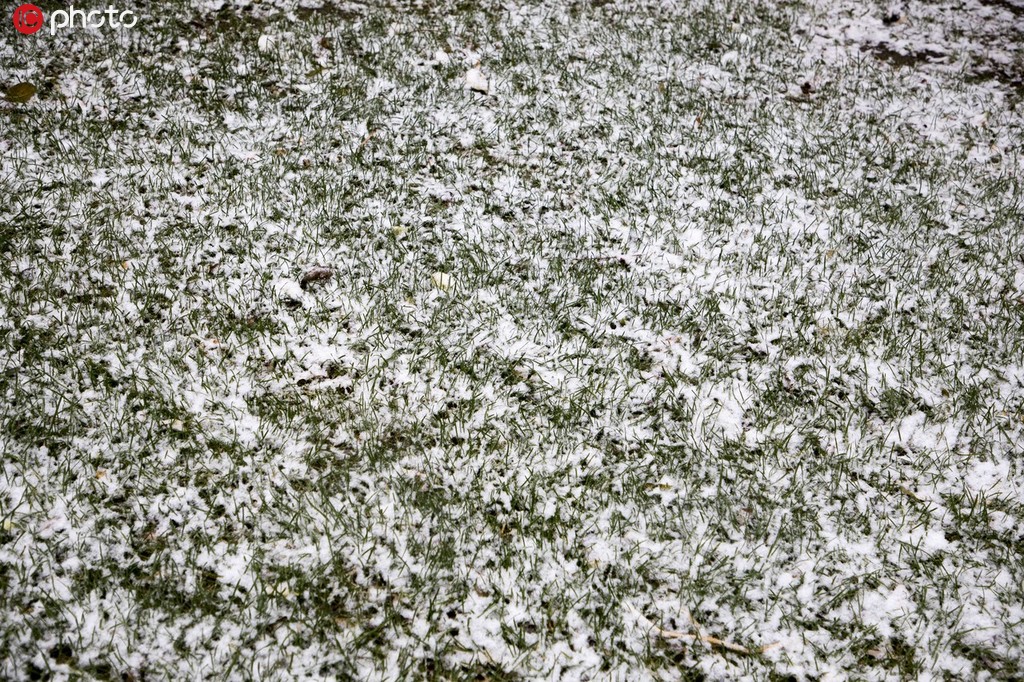 吉林最低气温零下3°C 降下今冬首场大雪3.jpg