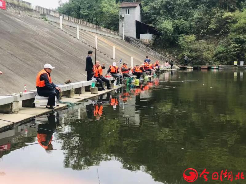 信步龍湖賞美景，揮竿垂釣增情誼.jpg