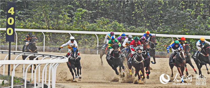 第十七届中国·武汉国际赛马节举行3.jpg