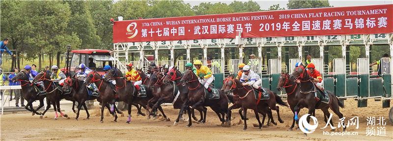 第十七届中国·武汉国际赛马节举行4.jpg