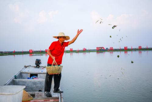 什么是“紅印蟹”？精明老食客教你挑選放心好蟹