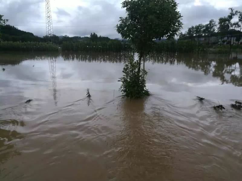 黄石部分地区迎来暴雨 大水侵袭民房农田被淹