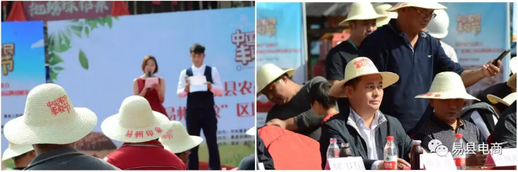 如圖片無法顯示，請刷新頁面